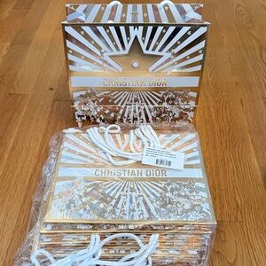 Dior 2025 set of 2 shopping bags